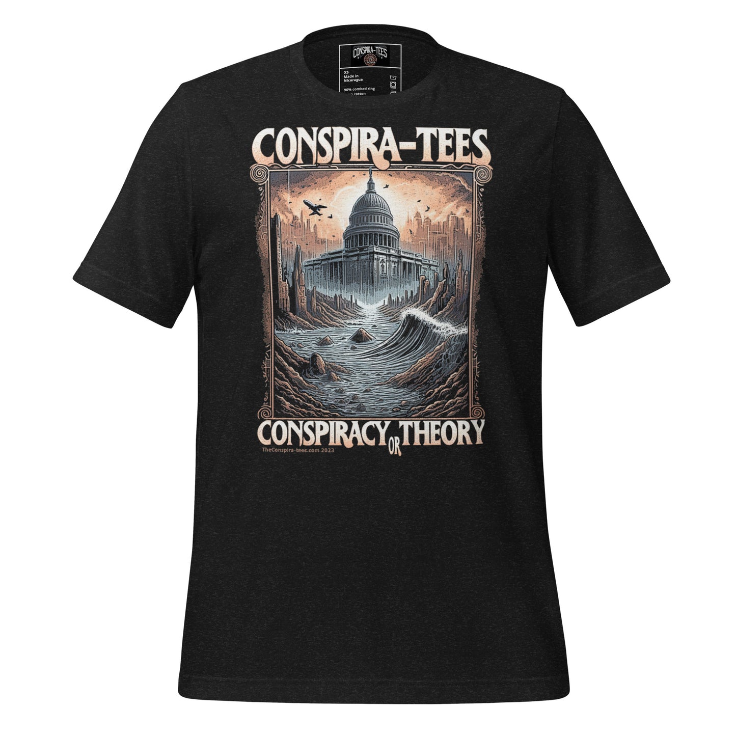 Conspiracy or Theory Unisex t-shirt